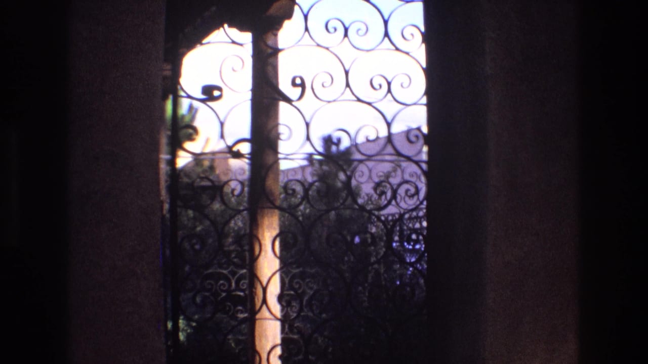 Close view of wrought iron scrollwork between columns with trees beyond.