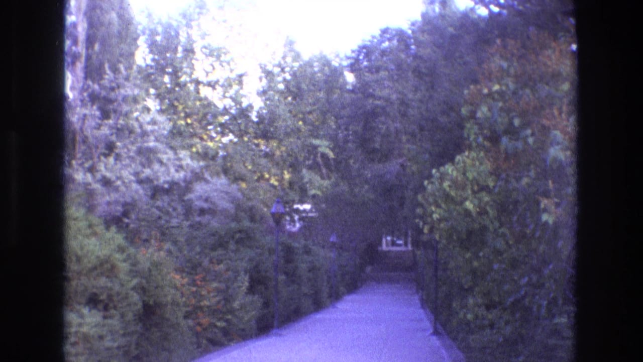 Tree-lined paved path viewed through dark film frame edges.