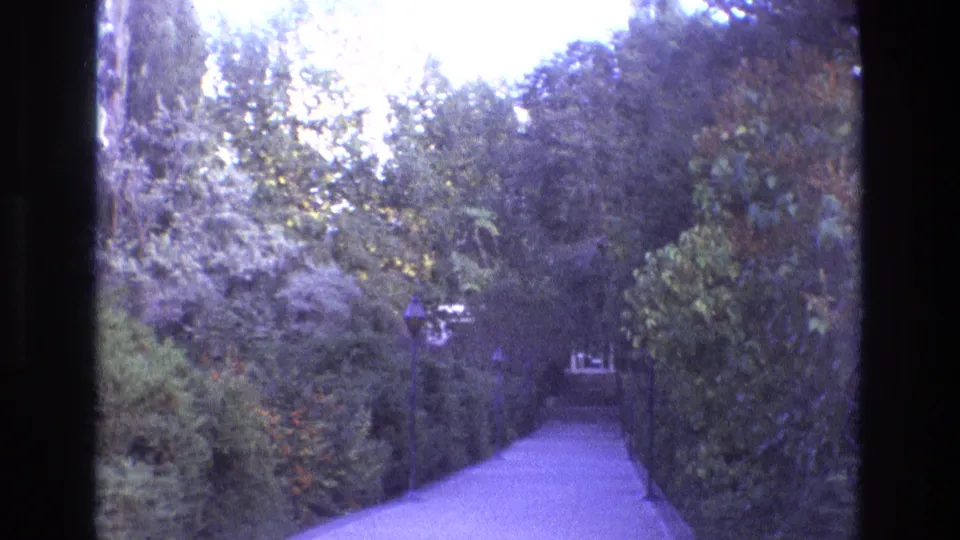 1973 New Mexico 8mm frame looking down a paved walkway bordered by dense trees, hedges, and a small lamppost, with a dark vertical film edge at left.