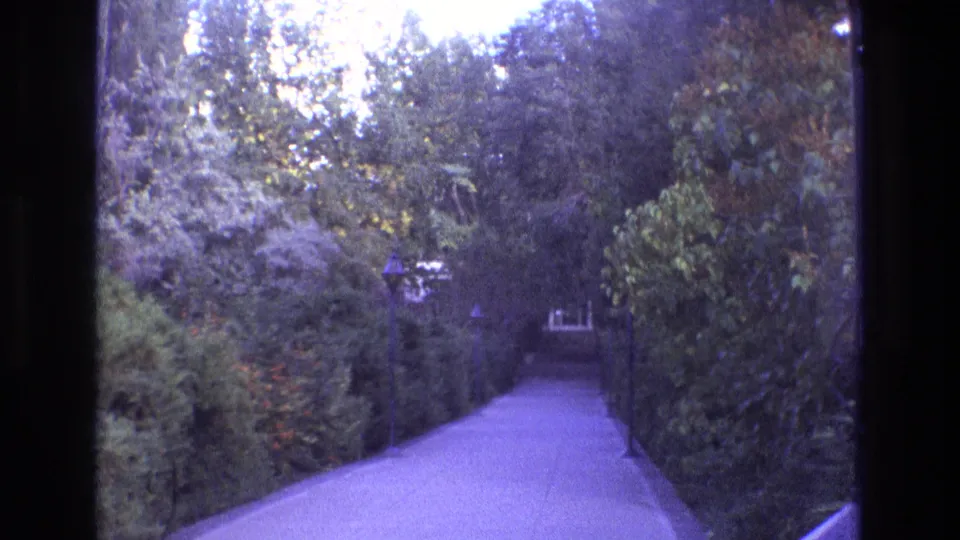 1973 New Mexico 8mm frame showing a quiet paved path receding between dense greenery, with lampposts and soft purple-blue color shift from the film scan.