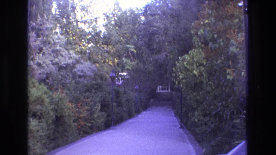 1973 New Mexico 8mm frame holding on the same landscaped walkway, with heavy foliage, a visible lamppost, and strong purple-blue film coloration.
