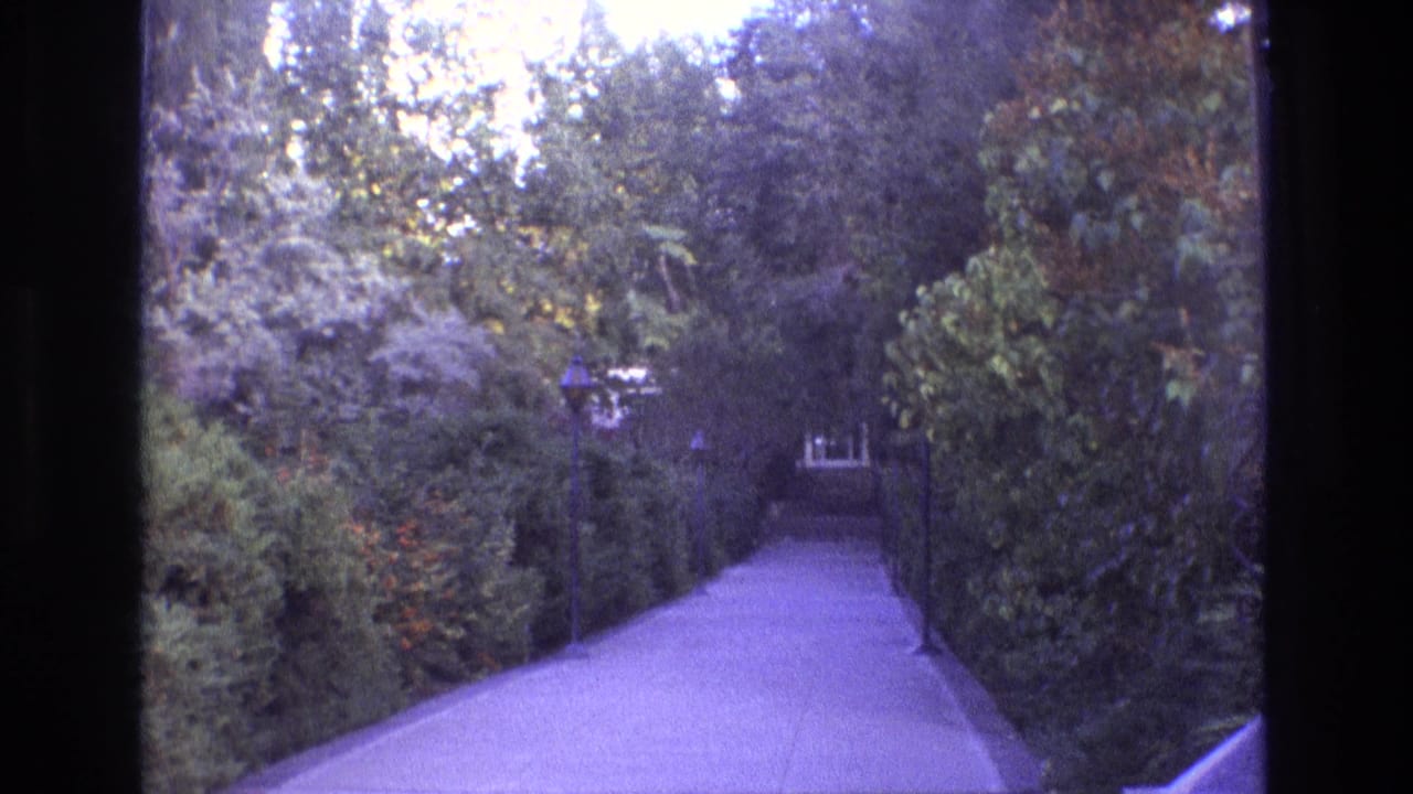 1973 New Mexico 8mm frame showing a paved garden walkway leading through dense hedges and mature trees toward a distant house or entry feature.