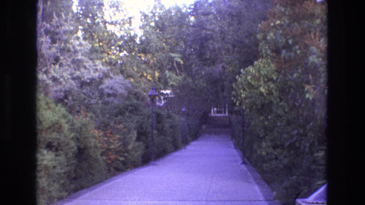 1973 New Mexico 8mm frame with a straight paved path framed by thick vegetation, a small lamp, and a distant architectural detail at the end of the walkway.