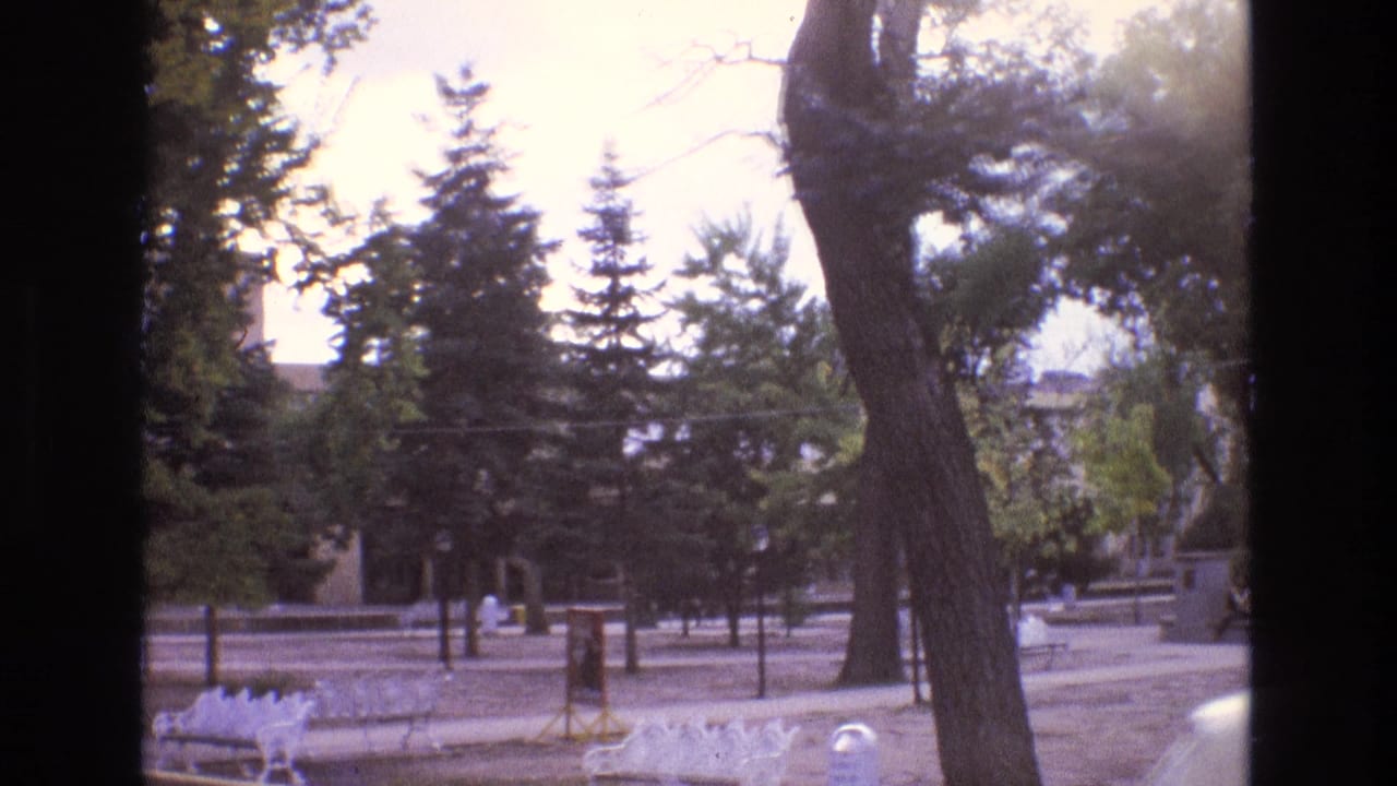 Park view with tall trees, paved paths, low curbs, and distant benches in bright light.