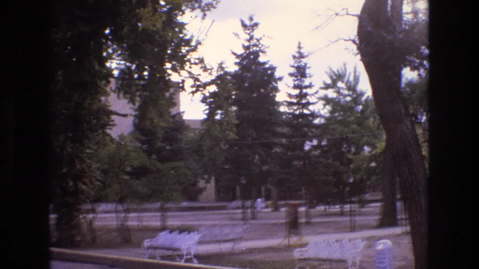 1973 New Mexico home-movie frame of a shaded park area with evergreen trees, a white bench, paved walkway edges, and a small grotto-like feature in the distance.
