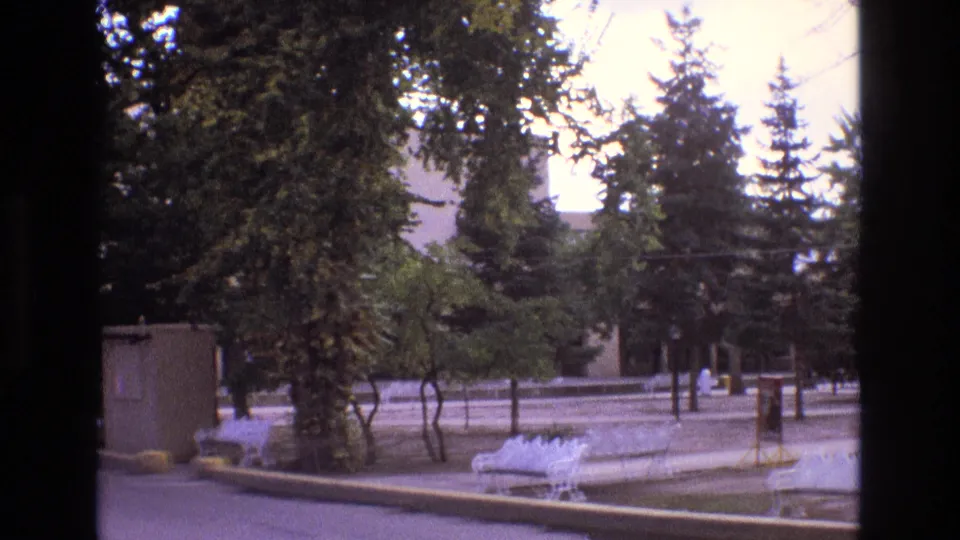 1973 New Mexico park view showing a white bench, tree trunks, shrubs, a low curb, paved walkway, and a small structure partly obscured by trees.