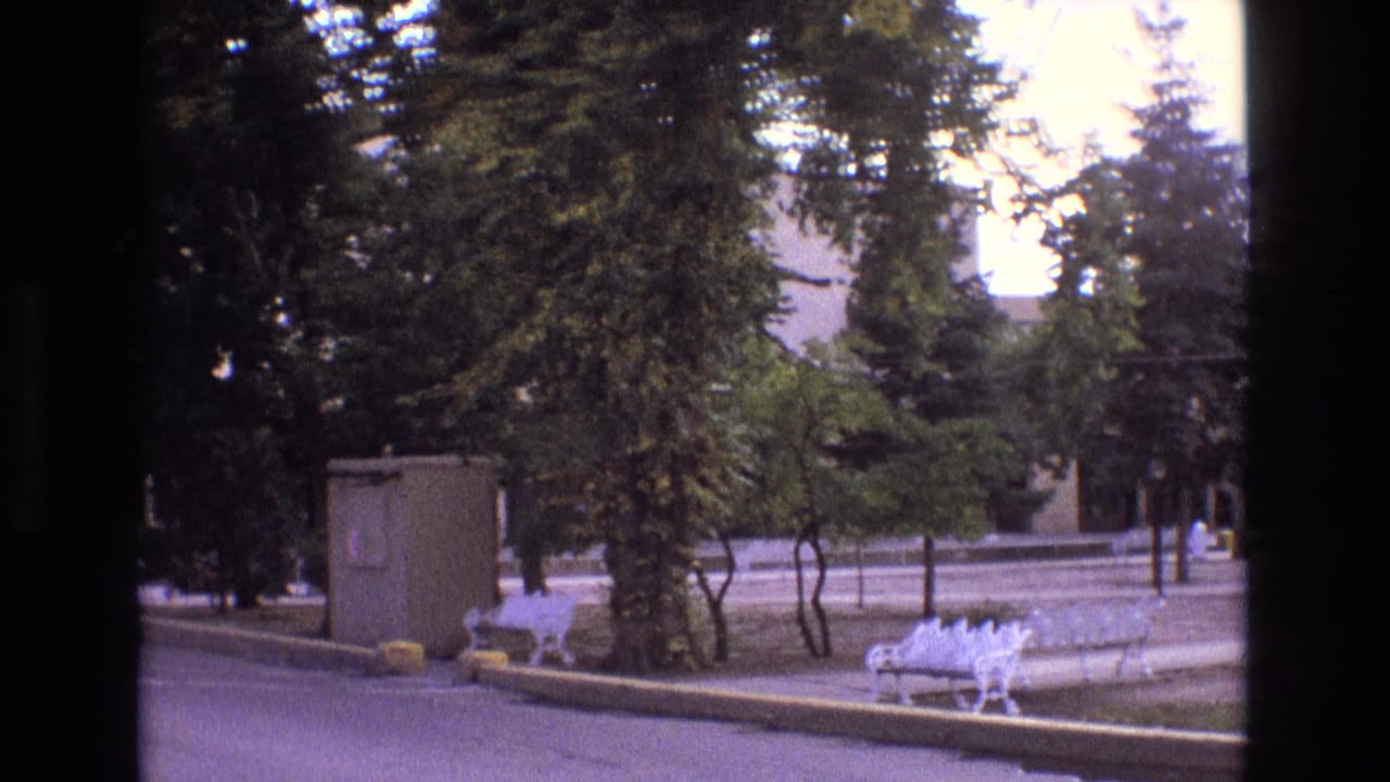 1973 New Mexico 8mm frame showing a quiet paved street beside a grassy median with mature trees, white benches, a beige utility box, and a light-colored building partly visible behind the trees.