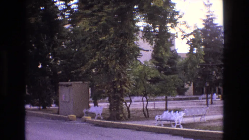 1973 New Mexico 8mm frame showing a quiet paved street beside a grassy median with mature trees, white benches, a beige utility box, and a light-colored building partly visible behind the trees.