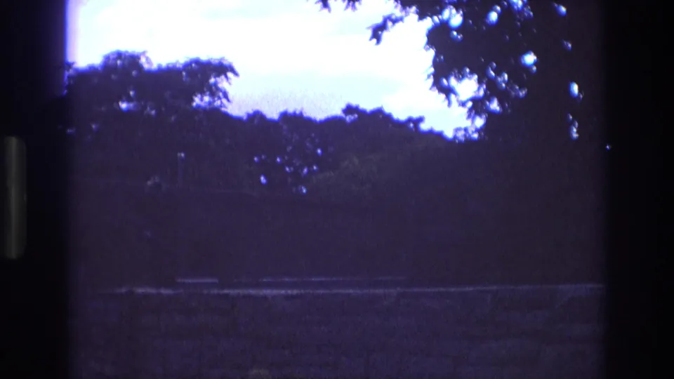 1973 New Mexico 8mm frame showing a dim, overgrown outdoor area with tree silhouettes, dense foliage, a bright washed sky, and a low horizontal line near the foreground.