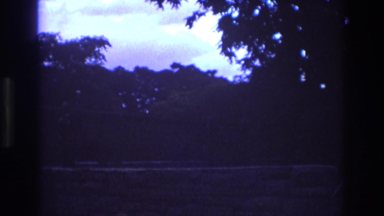 1973 New Mexico 8mm frame with a dark vertical window or film edge, silhouetted trees, blue-purple dusk sky, and a faint path crossing the lower scene.