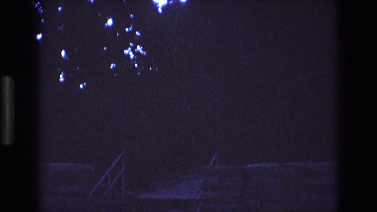 Low-light exterior view with a faint stair railing, dark foliage, blue flare spots, and a vertical black edge.