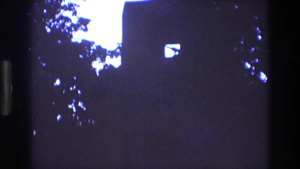 1973 New Mexico 8mm frame with a bright blue-white flare through tree foliage, a dark vertical edge, silhouetted leaves, and a small bright rectangular spot against the darkness.