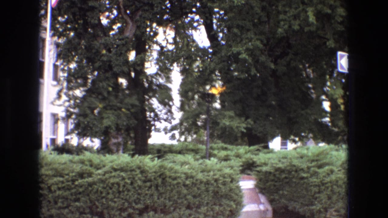 1973 New Mexico 8mm frame with dense hedges, mature trees, a right-edge one-way sign, a small flame-like yellow shape, and a dark vertical obstruction through the middle of the view.