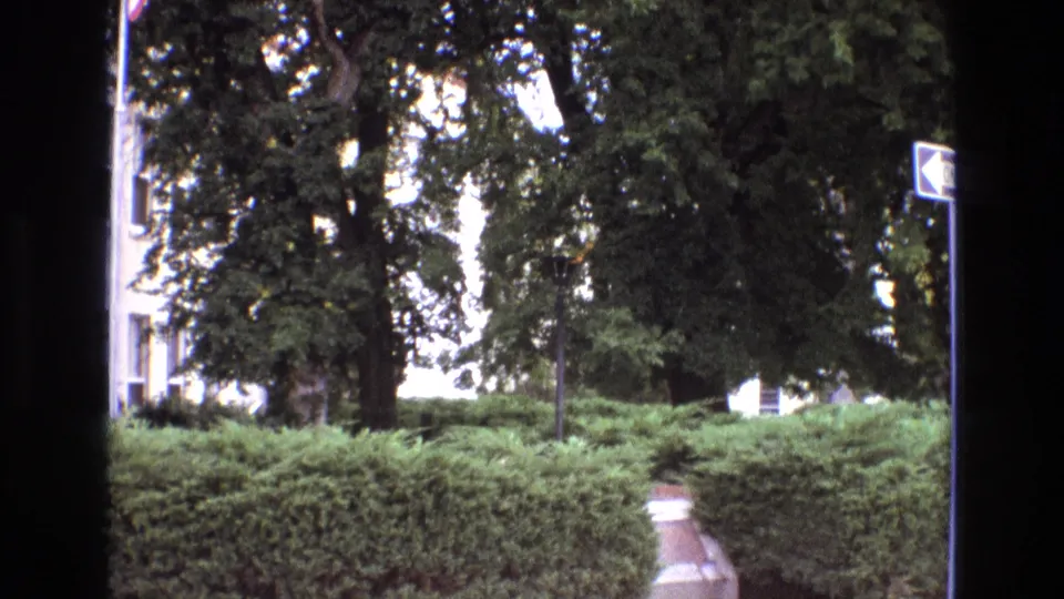 1973 New Mexico 8mm frame showing trimmed hedges, large trees, a walkway, a pale building edge, and dark borders that suggest the camera was partly obstructed or filming through an opening.