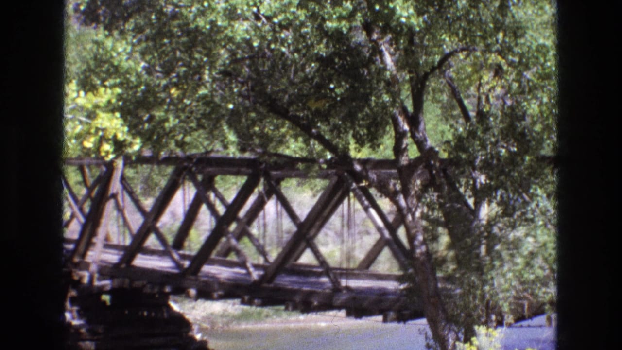 Side view of a wooden bridge framed by trees and shade.
