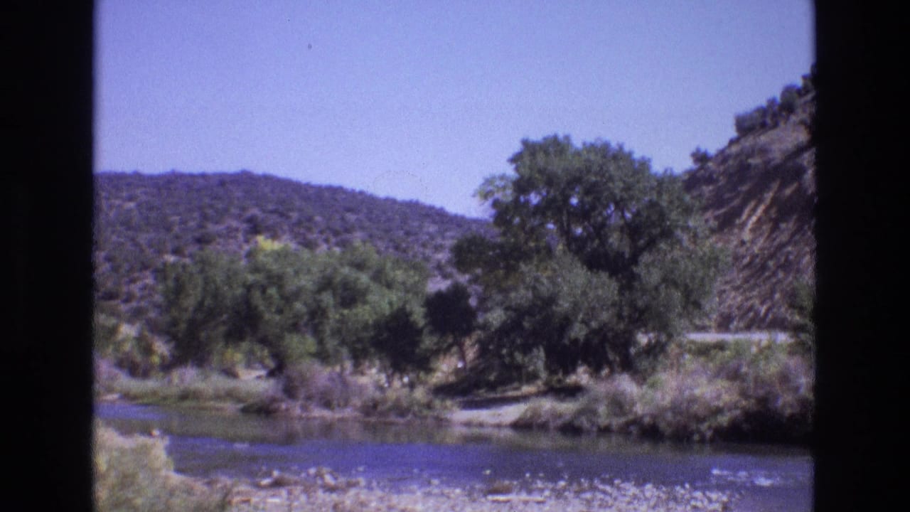 Trees and brush beside a river with hills and a road in the background.