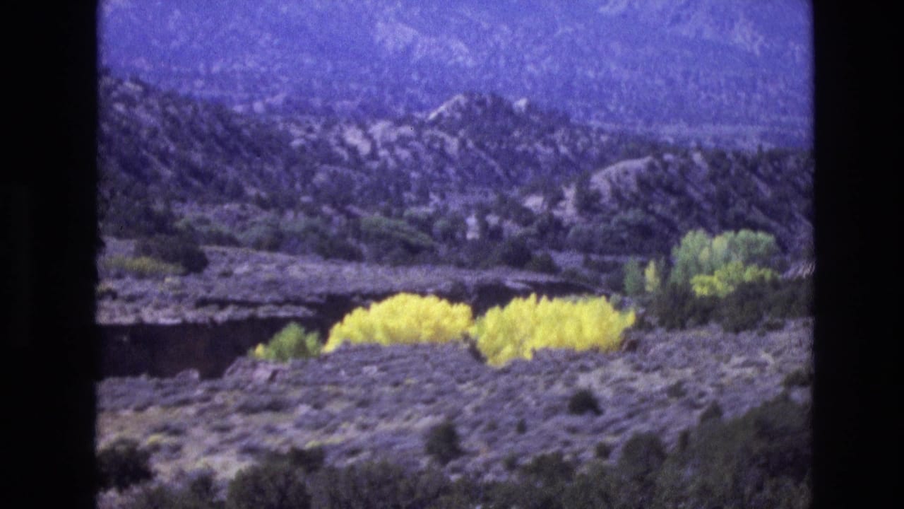 1973 New Mexico 8mm frame showing yellow flowering shrubs in desert foreground, green trees, gray scrub, rocky hills, and blue sky.