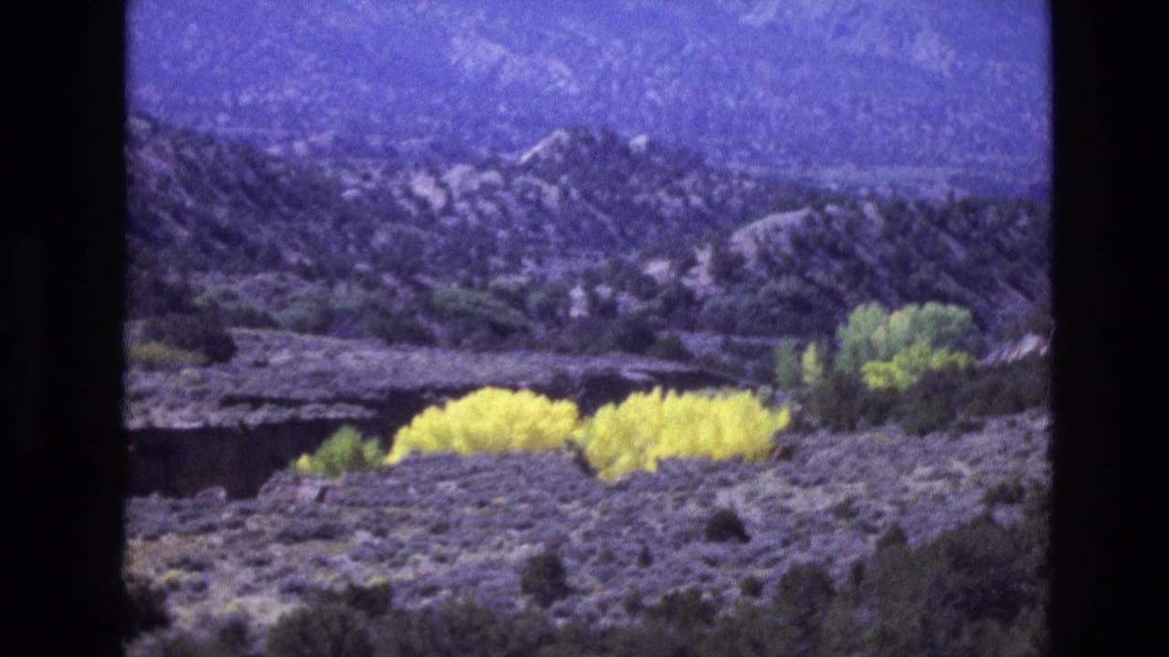 1973 New Mexico 8mm frame with bright yellow flowering shrubs across a gray desert foreground, backed by green trees and purple-toned rocky hills.