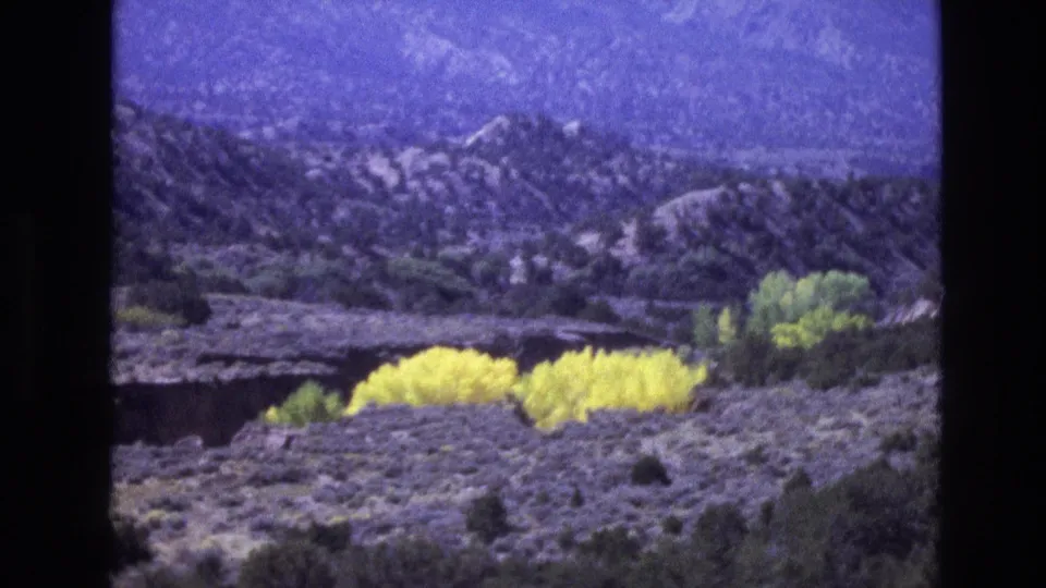 1973 New Mexico 8mm frame with bright yellow flowering shrubs across a gray desert foreground, backed by green trees and purple-toned rocky hills.