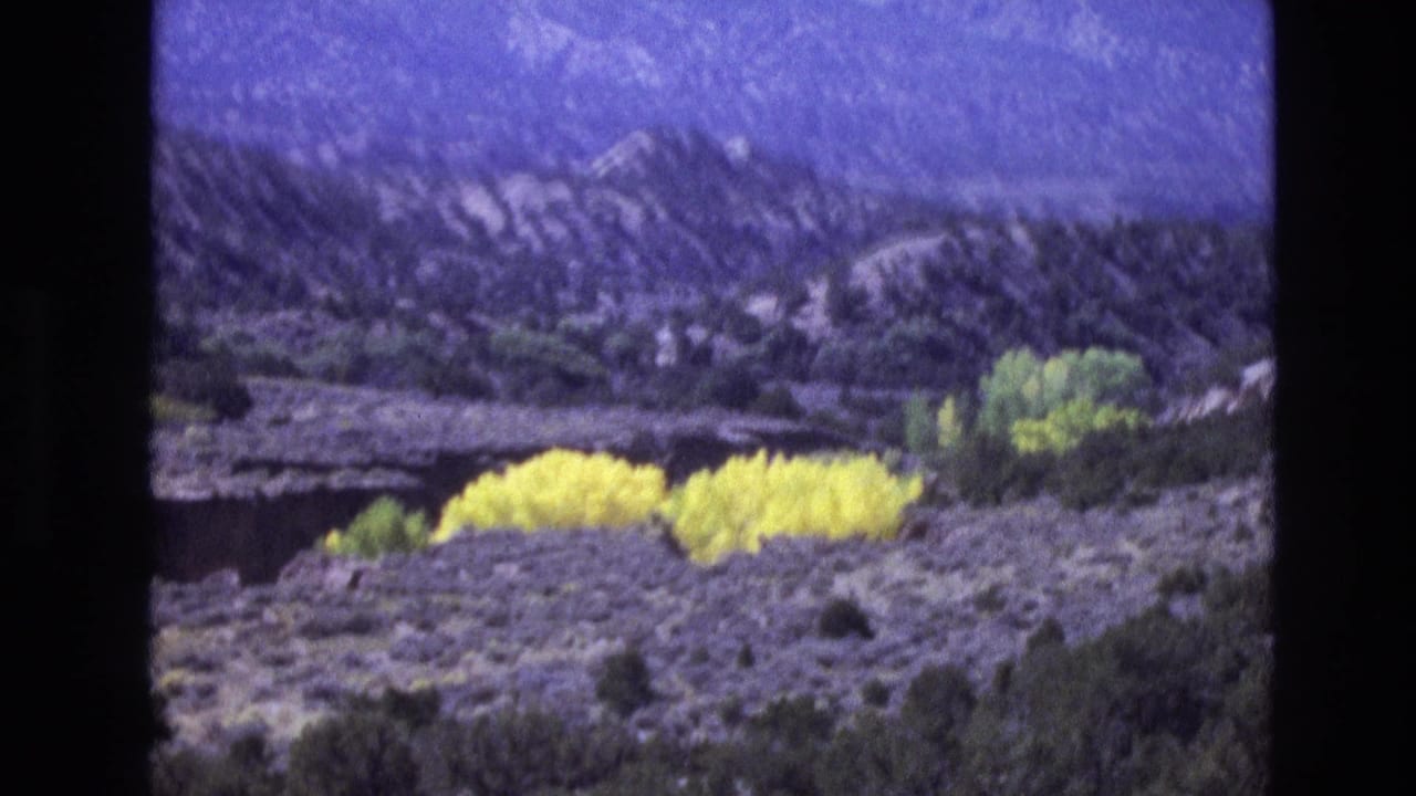 Soft 8mm view of yellow shrubs, green trees, desert scrub, and distant hills.