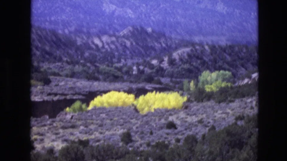 1973 New Mexico 8mm frame with a soft, grainy view of yellow shrubs in front of green trees, gray scrubland, rocky hills, and blue sky.