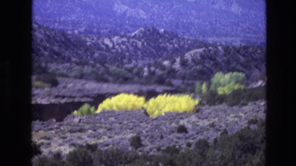 1973 New Mexico 8mm frame showing yellow flowering shrubs and green trees below rocky desert hills, with a cool purple cast in the distant landscape.