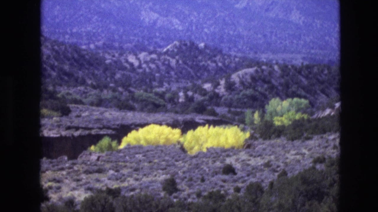 1973 New Mexico 8mm frame showing a dry hillside landscape, mountain backdrop, green trees, and bright yellow foliage in the foreground.