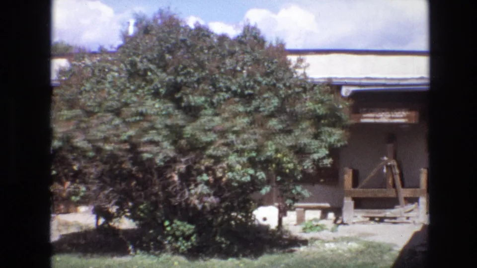 1973 New Mexico 8mm frame showing a large leafy tree shading a dry yard with an adobe-style building, grass, timber posts, and a simple wooden frame near an entrance.