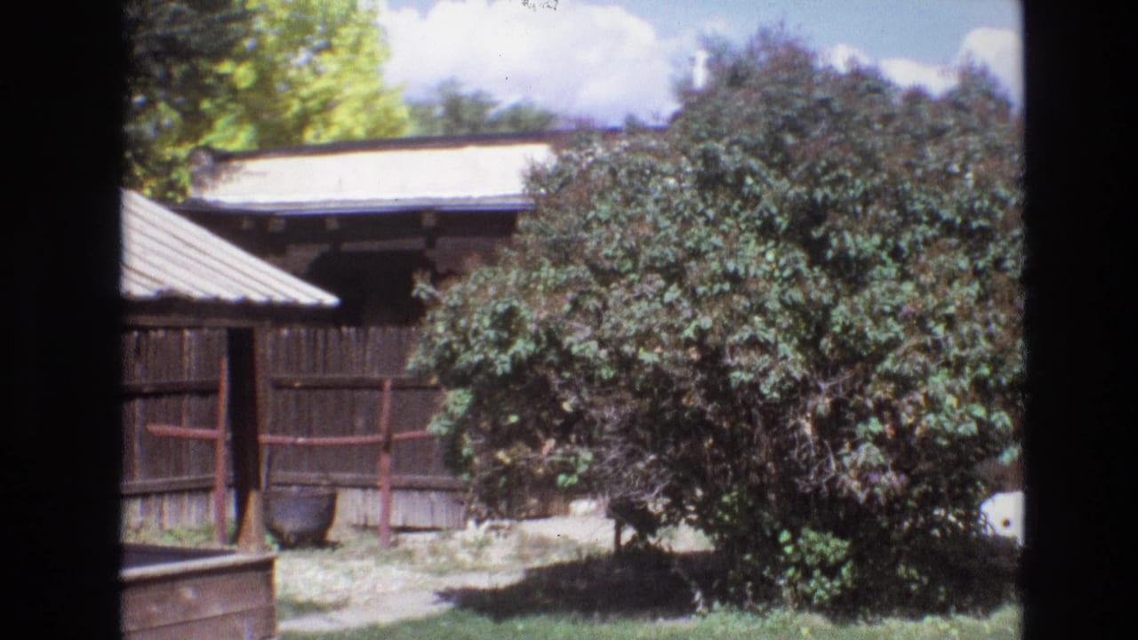 1973 New Mexico 8mm frame showing a weathered wooden fence, leafy tree, grass, and part of a small rustic wooden structure in bright daylight.