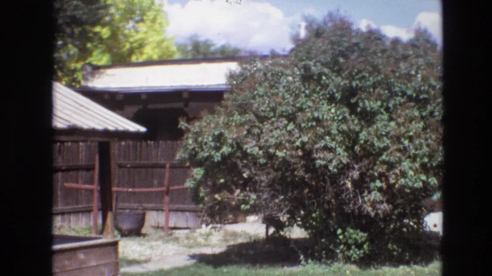 1973 New Mexico 8mm frame showing a weathered wooden fence, leafy tree, grass, and part of a small rustic wooden structure in bright daylight.