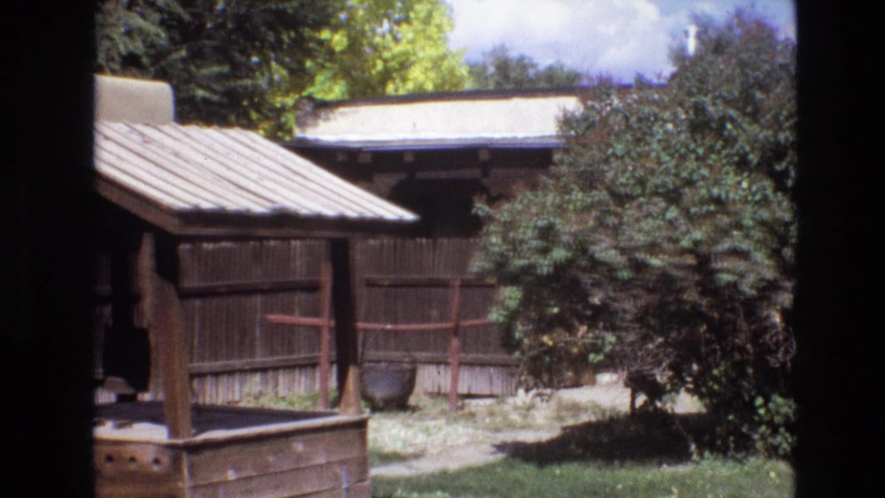 Covered wooden well-like structure in front of a plank fence and leafy shrubs.