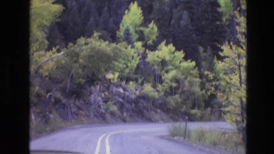 1973 New Mexico 8mm frame showing a curving two-lane mountain road bordered by rocky hillside, dense trees, and roadside vegetation.