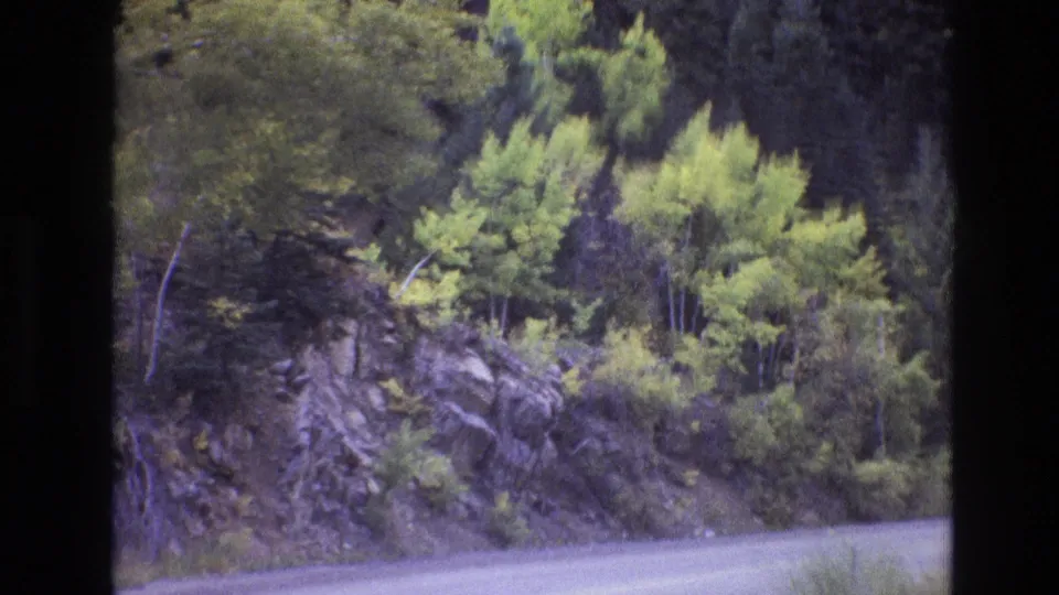 1973 New Mexico home-movie frame of a winding mountain road passing a forested hillside with exposed rock, bright green trees, and roadside grasses.