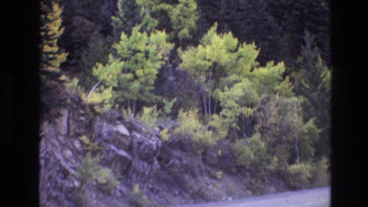 1973 New Mexico 8mm frame showing a wooded rocky roadside beside a curving two-lane road, filmed from a moving vehicle.