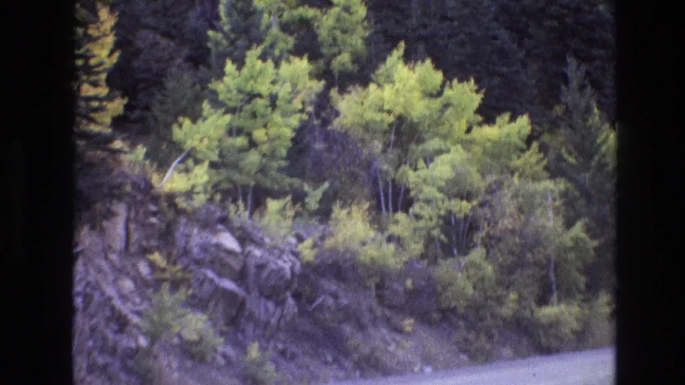 1973 New Mexico 8mm frame showing a wooded rocky roadside beside a curving two-lane road, filmed from a moving vehicle.