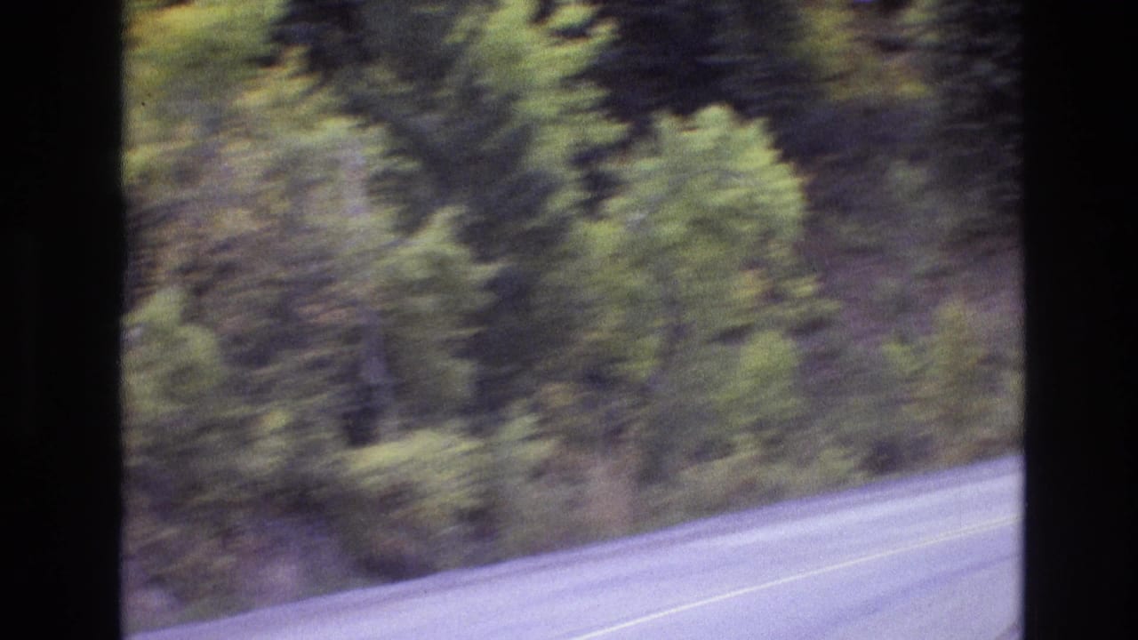 1973 New Mexico 8mm frame with a curved two-lane road and dense trees blurred by forward vehicle motion.