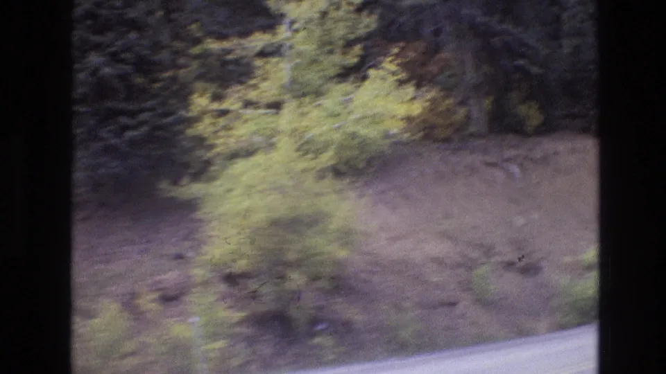 1973 New Mexico 8mm frame showing a dirt bank, scattered trees, and the edge of a paved road from a moving car.