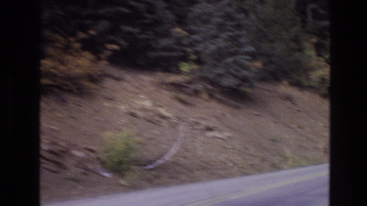 1973 New Mexico 8mm frame showing a blurred in-car view of a two-lane mountain road curving past pine trees and a sloped roadside.