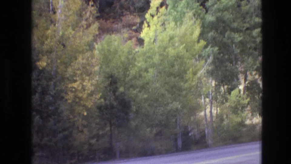 1973 New Mexico 8mm travel frame showing a two-lane road below pale-trunked trees, evergreens, and autumn-colored foliage.