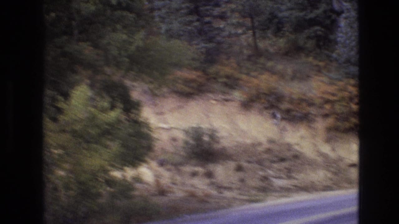 1973 New Mexico home-movie frame of a rural highway edge passing a rocky hillside with scrub foliage and evergreens, softened by vehicle motion.