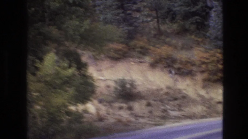 1973 New Mexico home-movie frame of a rural highway edge passing a rocky hillside with scrub foliage and evergreens, softened by vehicle motion.