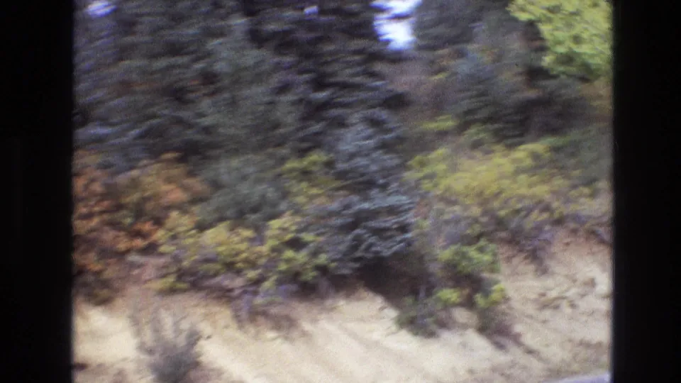 Roadside slope in New Mexico with layered rock, autumn-toned brush, and tall evergreens seen through the soft blur of 8mm travel footage.