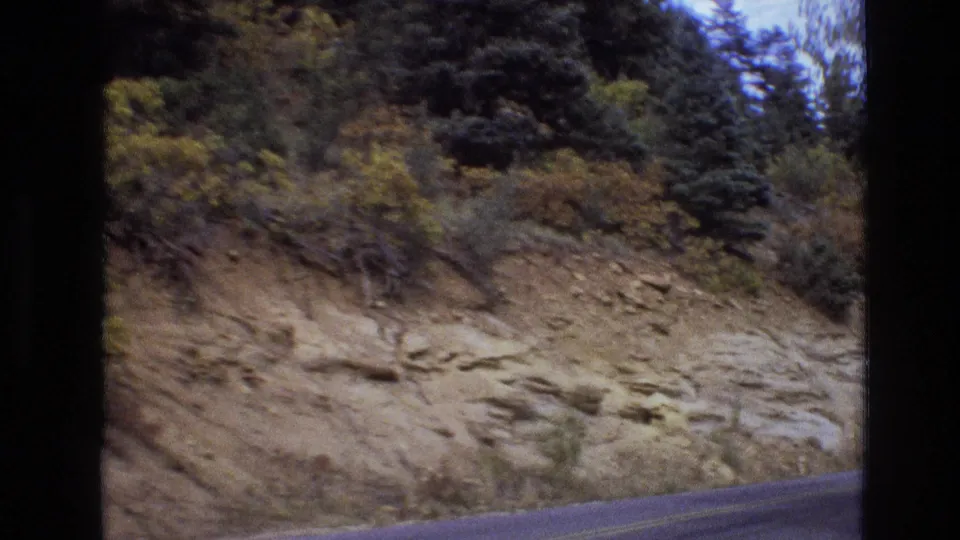 Moving-vehicle view of a dry New Mexico roadside cut with exposed rock, low brush, taller trees, and the lower edge of the highway in frame.