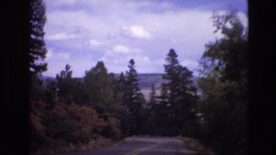 1973 New Mexico 8mm frame from a moving vehicle, showing a tree-lined road dropping toward distant water and low hills under soft clouds.