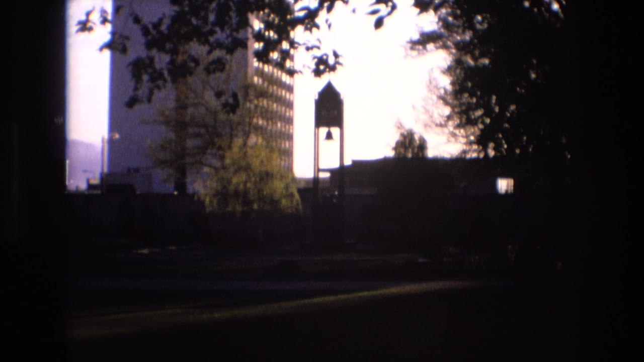 Silhouetted tower and tall building framed by trees and a dark foreground.