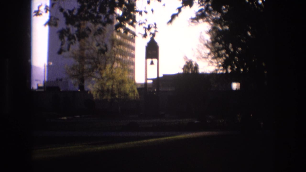Similar shaded view of trees, tower silhouette, building edge, and bright sky.