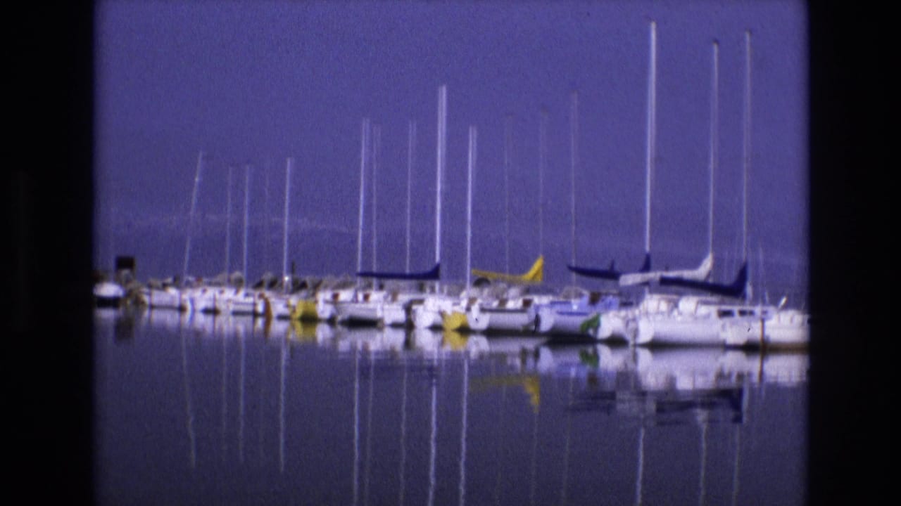 Row of sailboats and masts reflected in a quiet marina.