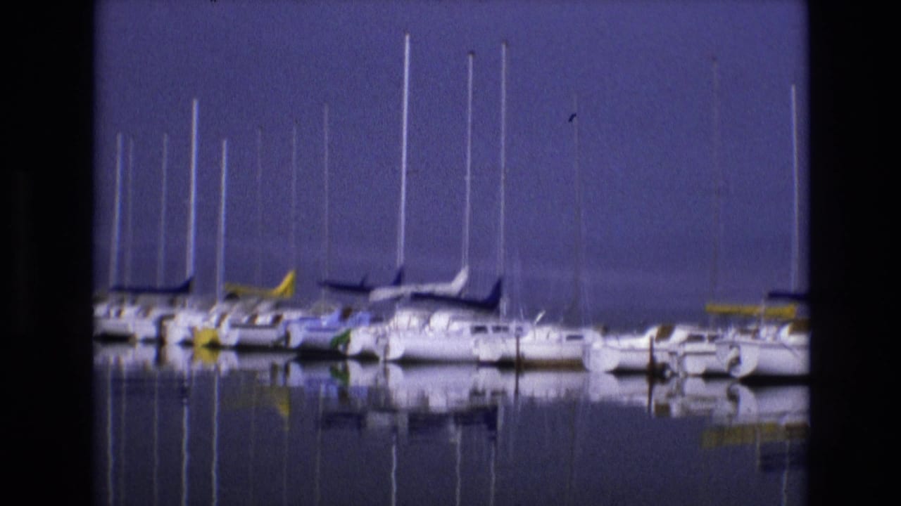 Docked sailboats with tall masts reflected in calm water.