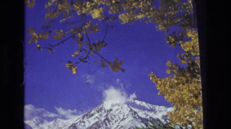 1973 Utah home-movie frame showing a snow-covered mountain peak under a vivid blue sky, with golden autumn leaves and branches in the foreground.