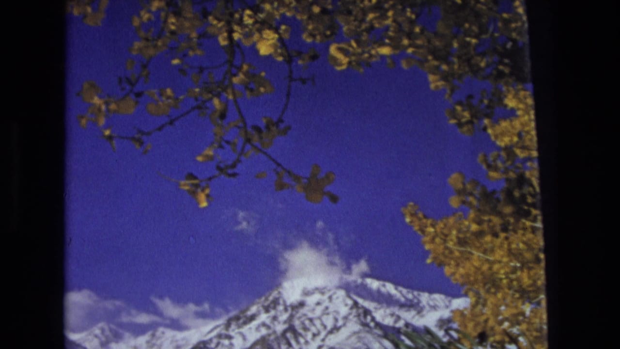 1973 8mm home-movie frame from the Salt Lake City, Utah area showing a snow-capped mountain peak under a blue sky with autumn leaves overhead.